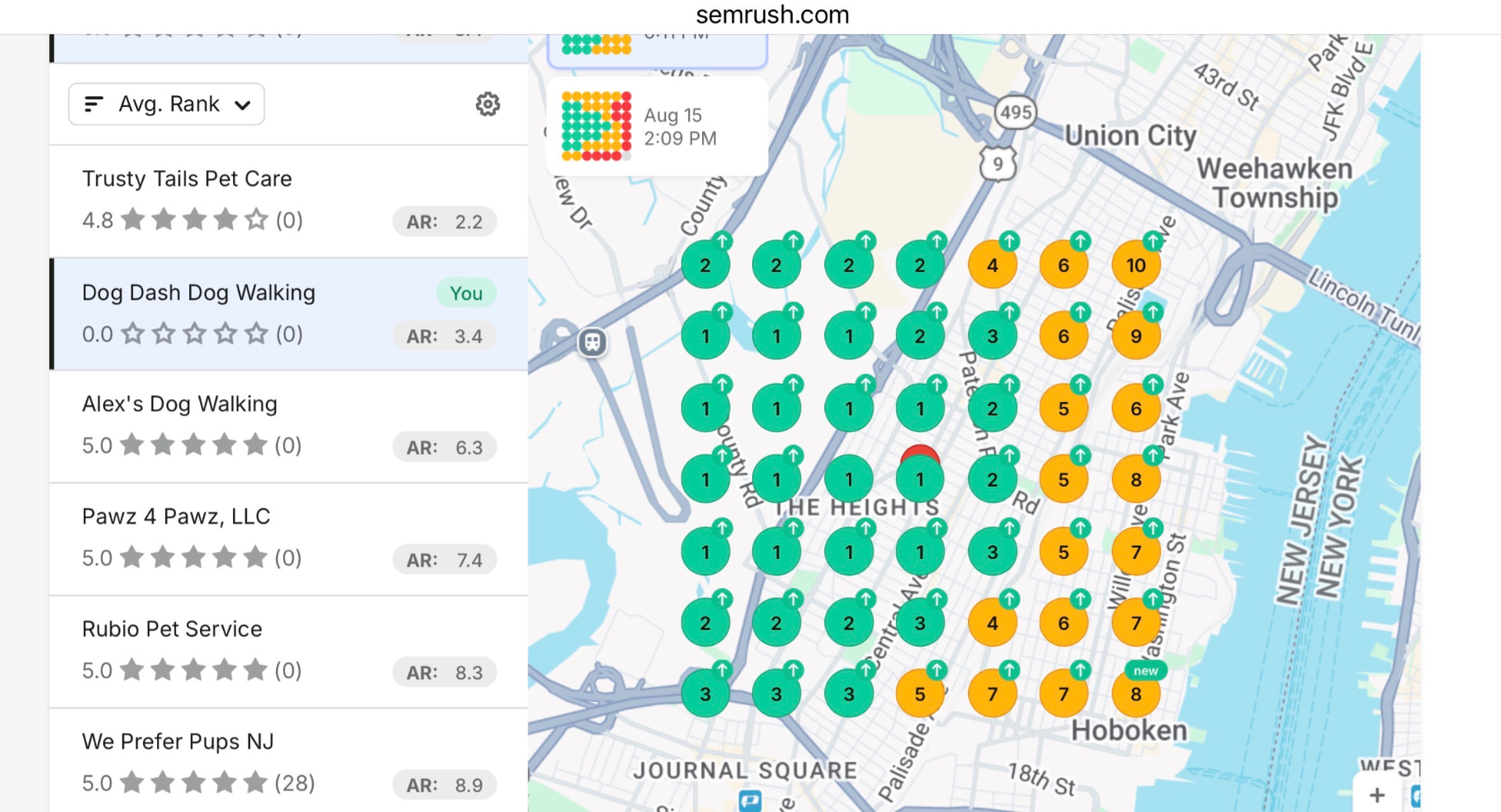 Geo grid heatmap showing Dog Dash Dog Walking ranking #1 across its market
